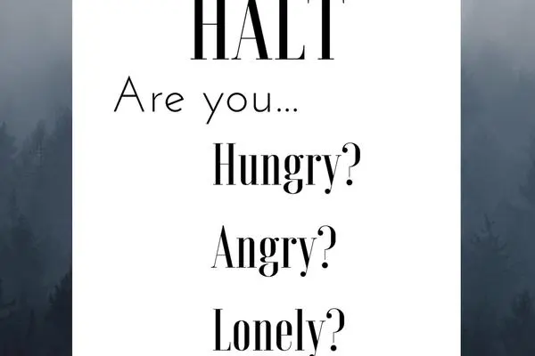 HALT 2