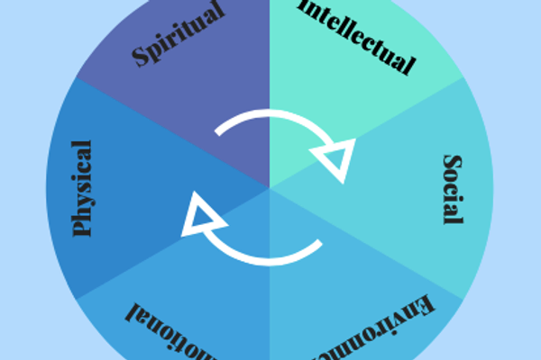 Wellness Wheel